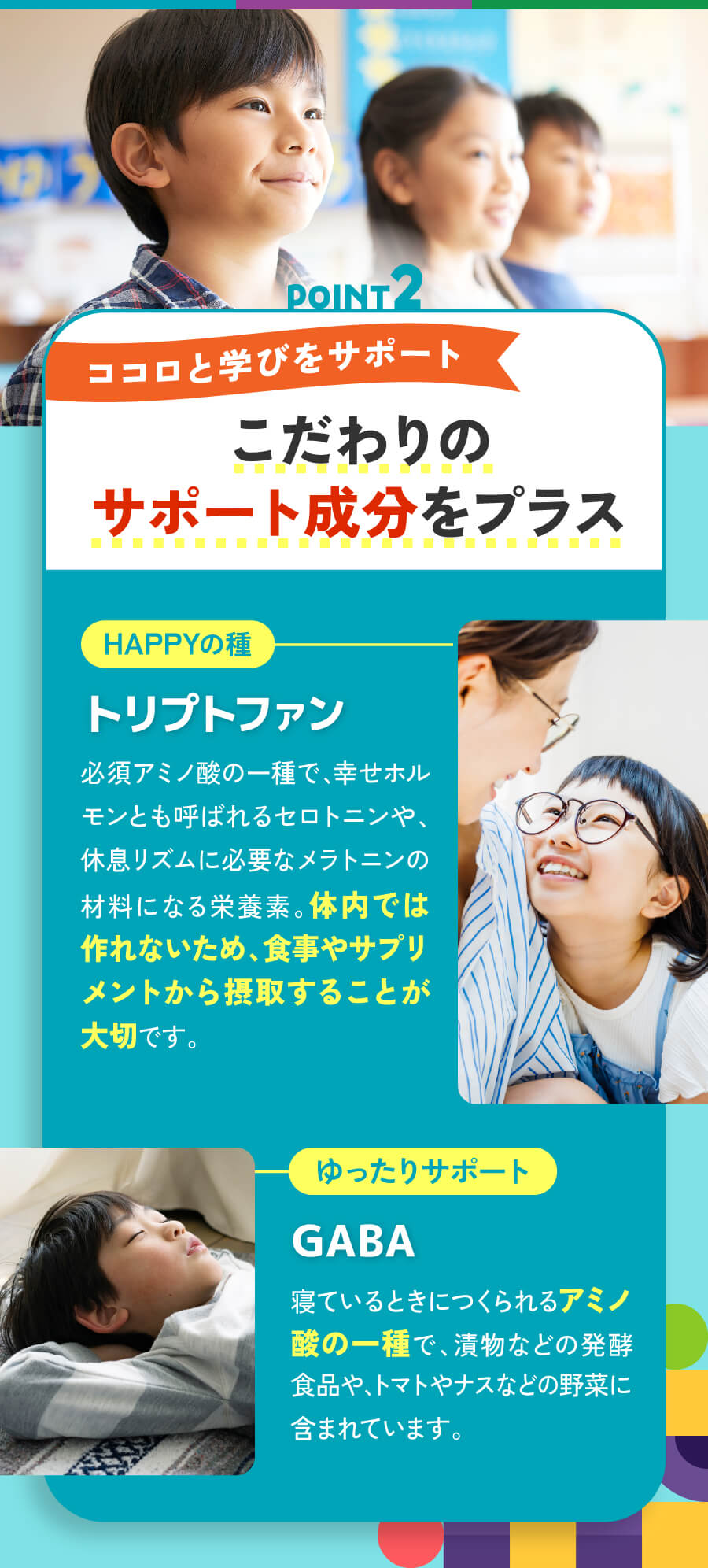ポイント２　ココロと学びをサポート成　こだわりのサポート成分をプラス　トリプトファン　GABA