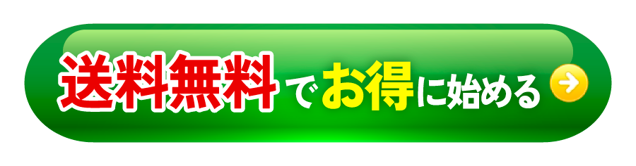 1980円でお得に始めてみる
