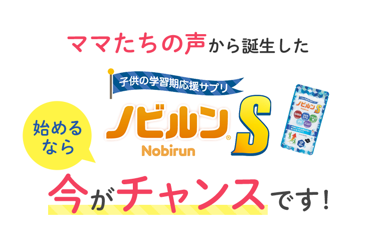 販サイト ノビルンS 3袋 - その他